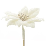Stick Poinsettia Jõulutäht Ø10cm White h50cm