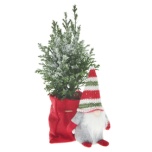 Bag Christmas Gnome Tomte Red h20cm (for Ø9cm pot)