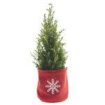 Bag Wooly Snowy Winterdays Red Ø13 h13cm (for Ø12cm pot)