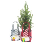 Bag Felt X-mas Gift Assorted (for Ø12cm pot)