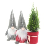 Bag Christmas Gnome Charlie Assorted h35cm (for Ø9cm pot)