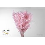 Dried Ruscus Bleached Light Pink 70cm (pk)