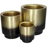 Planter Gold S