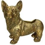 Planter Dog Polyresin Gold 26.7x15.5x24cm