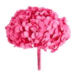 Stabiliseeritud Hydrangea Premium Candy Pink