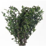 Stabiliseeritud Tenulifolium Vert Vrac Kg