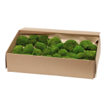 Stabiliseeritud Polemoss Green Bulk - Box