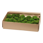 Stabiliseeritud Pole Moss Green Bulk - Box