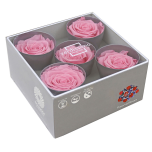 Stabiliseeritud Roos Queen 5tk karbis Pastel Pink