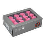 Stabiliseeritud Roos Mini 12tk karbis Pastel Pink