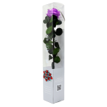 Stabiliseeritud Roos Amorosa Mini Kinkekarbis Bright Lilac 1tk