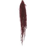 Stabiliseeritud Amaranthus Burgundy 40/70