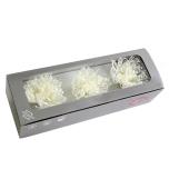 Stabiliseeritud Chrysanthemum Anastasia 3tk karbis White
