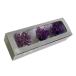 Stabiliseeritud Anastasia Chrysanthemum Purple 3tk