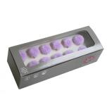 Stabiliseeritud Focus Chrysanthemum Soft Lilac 12tk