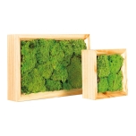 Stabiliseeritud sambla paneel Pole moss wooden frame tile 15x15cm