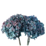 Stabiliseeritud Hortensia Natural Blue/Burgundy