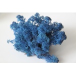 Stabiliseeritud Põdrasammal Raindeer Moss 500g Dark Blue