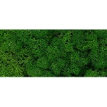 Stabiliseeritud Põdrasammal Reindeer Moss 1kg Green