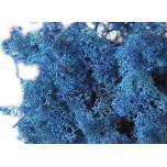 Stabiliseeritud Põdrasammal Reindeer Moss 500g Dark Blue