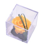 Stabiliseeritud Roos MELCHOR kinkekarbis 1tk WARM YELLOW