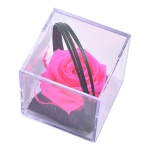 Stabiliseeritud Roos MELCHOR kinkekarbis 1tk BRIGHT PINK