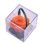 Stabiliseeritud Roos MELCHOR kinkekarbis 1tk ORANGE