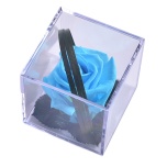 Stabiliseeritud Roos MELCHOR kinkekarbis 1tk TURQUOISE