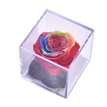 Stabiliseeritud Roos MELCHOR kinkekarbis 1tk RAINBOW