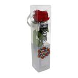 Stabiliseeritud Mini Garden Stem Rose Red 25