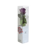 Stabiliseeritud Roos Amorosa Mini Kinkekarbis Purple 1tk