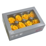 Stabiliseeritud Roos Medium 8tk karbis Bright Yellow