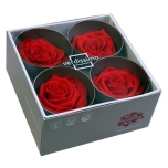 Stabiliseeritud Roos Premium 4tk karbis punane