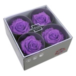 Stabiliseeritud Roos Premium 4tk karbis Bright Lilac