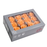 Stabiliseeritud Roos Mini 12tk karbis Peach