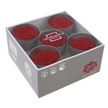 Stabiliseeritud Roos Queen 5tk karbis Red