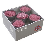 Stabiliseeritud Roos Queen 5tk karbis Cherry Vintage