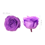Stabiliseeritud Rose Standard Bulk Bright Lilac 1tk