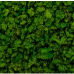 Stabiliseeritud Põdrasammal Raindeer moss tile green 30x60cm