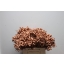 brunia copper.jpeg