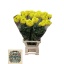 tagetes yellow.jpeg