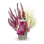 250905-160400.png