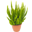 250905-161016.png