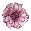 carnation-damascus.jpg