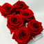MAGIC.RED.png