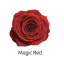 Magic Red.png