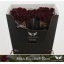 R GR BLACK BACCARA 70cm 33std.jpg