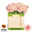 product/img.floraplaza.nl/100609-50-LIVE_fotos-0x1D5BD0C8B04CEC2A688C166C778ACC677FFAB278.jpg