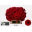 product/img.floraplaza.nl/100618-50-LIVE_fotos-0xE239A2BB42484A095F5F3EDAB031FFA9BC41CC65.jpg
