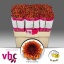 product/img.floraplaza.nl/100657-55-LIVE_fotos-0xC028DF2FA2063C322E71A2E53FEEE5648298446D.jpg
